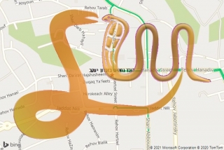 בזכרון יעקב - לוכד נחשים בזכרון יעקב