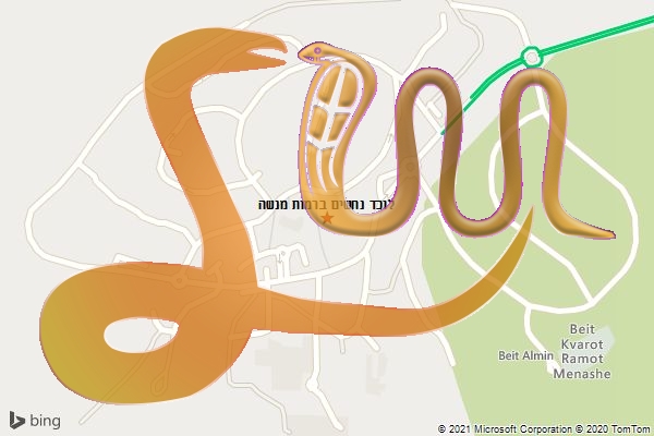 לוכד נחשים ברמות מנשה