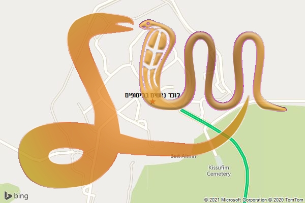 לוכד נחשים בכיסופים