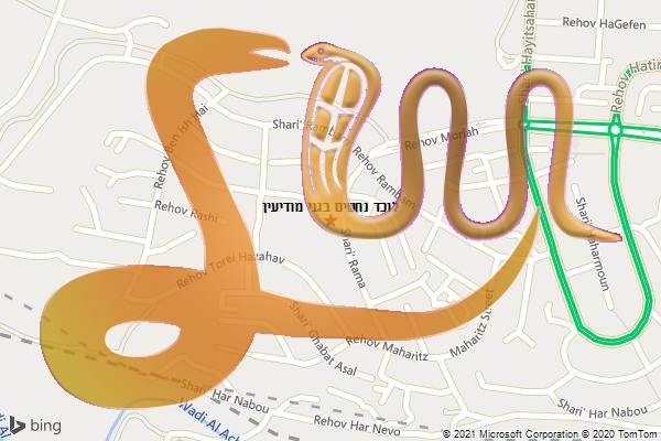 לוכד נחשים בגני מודיעין