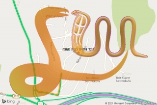 לכידת נחש בבית נקופה - לוכד נחשים בבית נקופה
