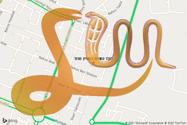 לוכד נחשים במעיין חרוד