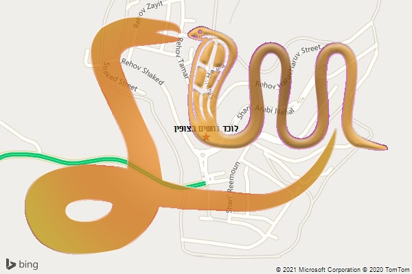 לוכד נחשים בצופין