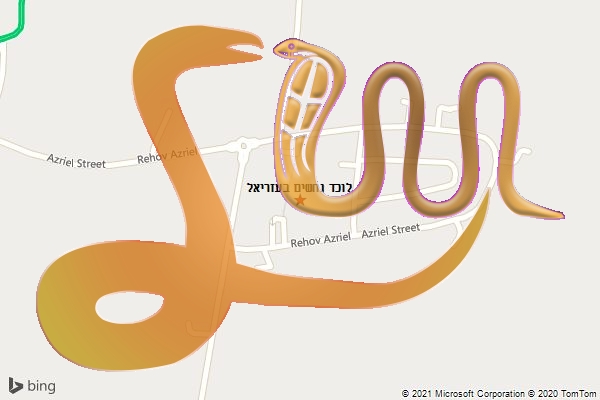 לוכד נחשים בעזריאל