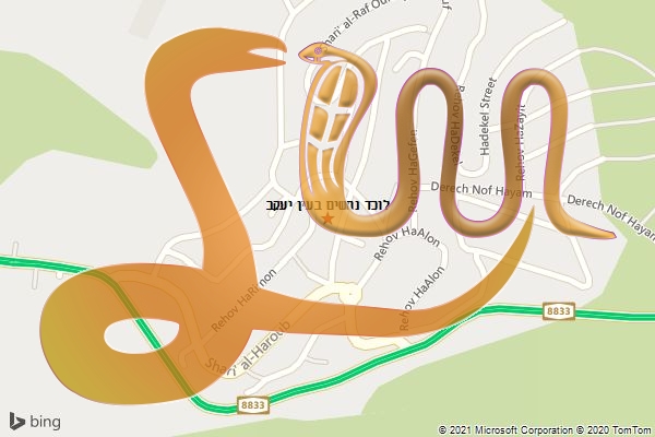 לוכד נחשים בעין יעקב