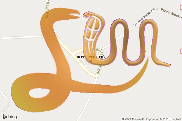לוכד נחשים בפרזון