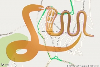 לכידת נחש בצופיה - לוכד נחשים בצופיה