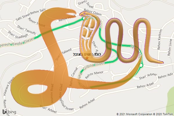 לוכד נחשים בארבל