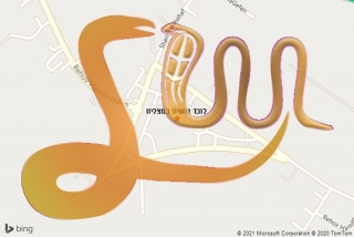 לכידת נחש במצליח - לוכד נחשים במצליח