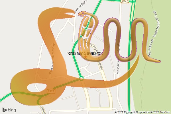 לוכד נחשים ברמות נפתלי