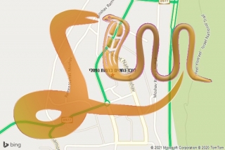 לכידת נחש ברמות נפתלי - לוכד נחשים ברמות נפתלי