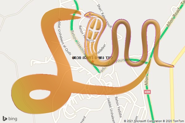 לוכד נחשים במעלה מכמש