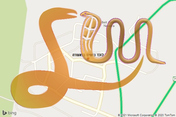 לוכד נחשים בנאעורה