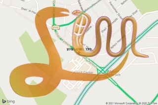 לכידת נחש בעירון - לוכד נחשים בעירון