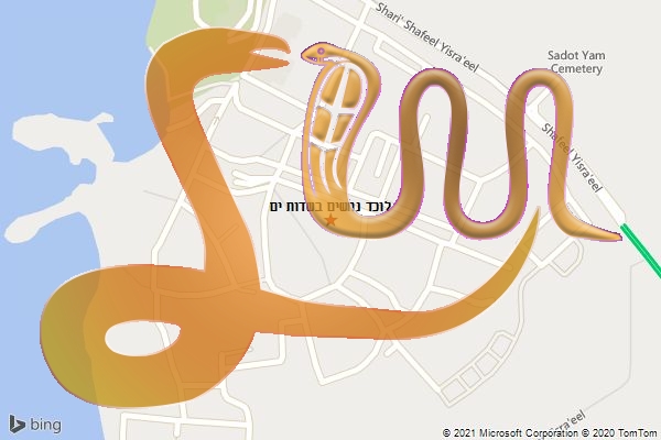 לוכד נחשים בשדות ים