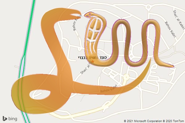 לוכד נחשים בכברי