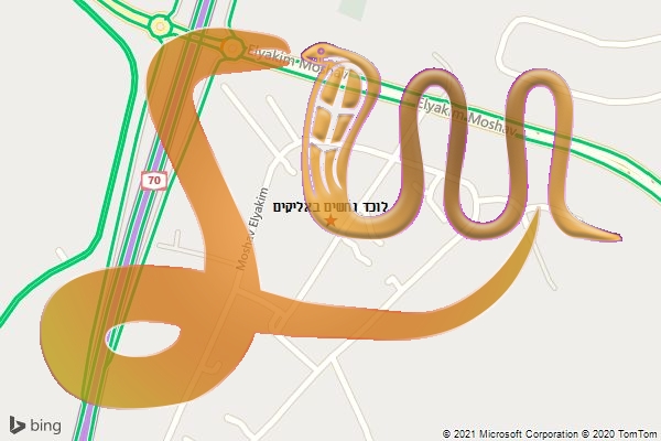 לוכד נחשים באליקים