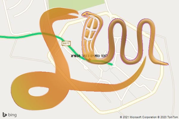 לוכד נחשים בכפר הנשיא