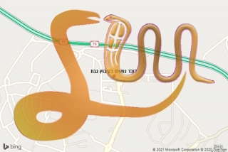 לכידת נחש בקיבוץ גבת - לוכד נחשים בקיבוץ גבת