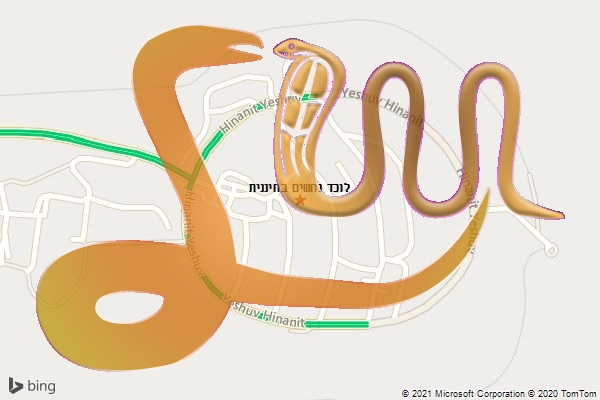 לוכד נחשים בחיננית