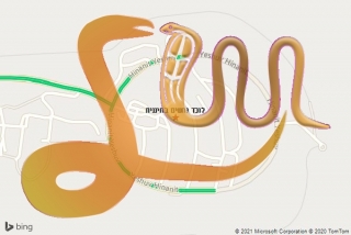 לכידת נחש בחיננית - לוכד נחשים בחיננית