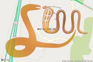 לכידת נחש בכפר דניאל - לוכד נחשים בכפר דניאל