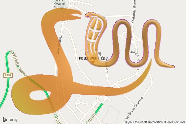 לוכד נחשים בשמיר