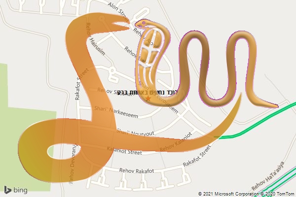 לוכד נחשים באחוזת ברק