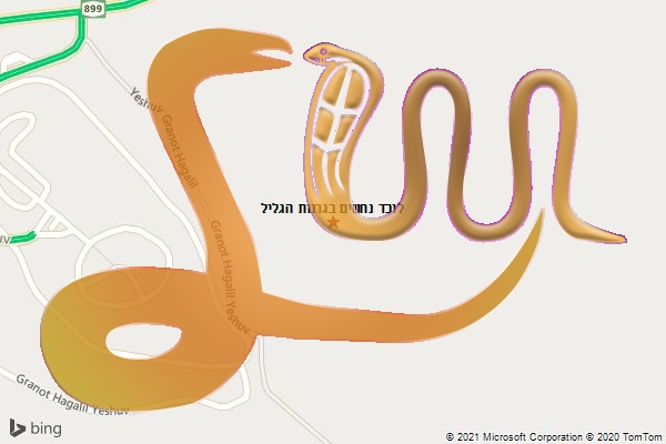 לוכד נחשים בגרנות הגליל