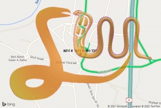 לכידת נחש בגסר א זרקא - לוכד נחשים בגסר א זרקא