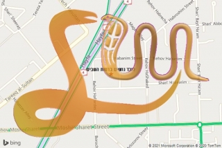 לכידת נחש ברמות השבים - לוכד נחשים ברמות השבים