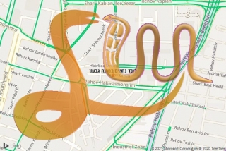 לכידת נחש במחנה גבעון - לוכד נחשים במחנה גבעון