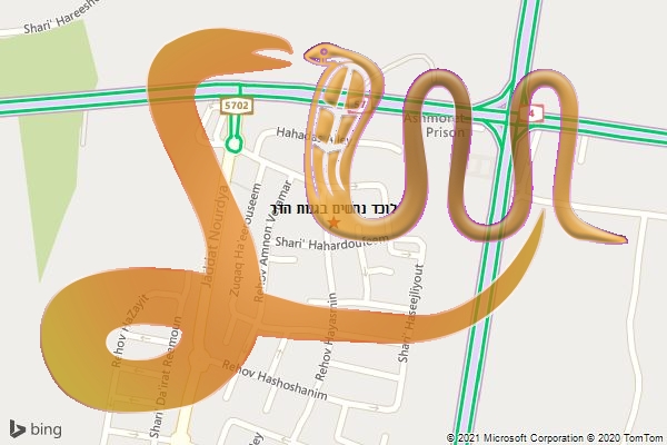 לוכד נחשים בגנות הדר