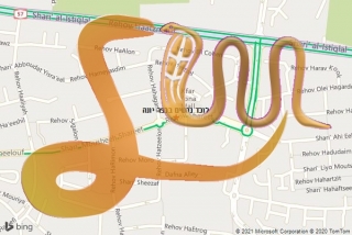 לכידת נחש בכפר יונה - לוכד נחשים בכפר יונה