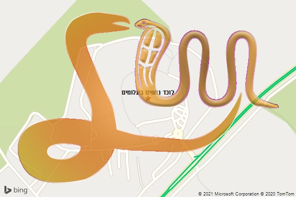 לוכד נחשים בעלומים