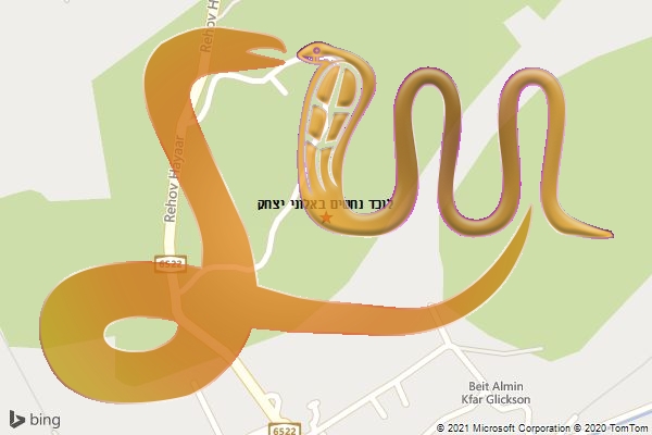 לוכד נחשים באלוני יצחק