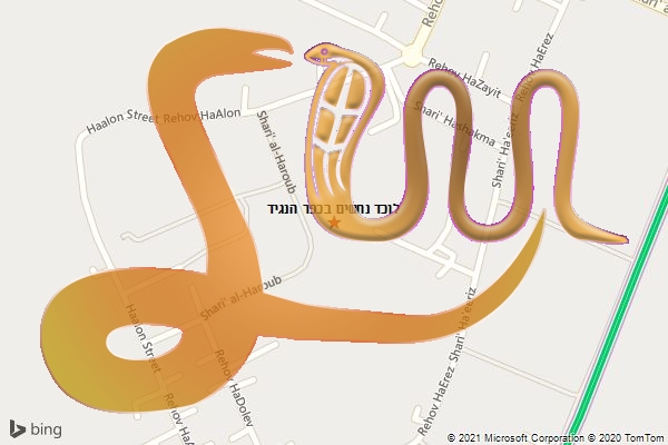 לוכד נחשים בכפר הנגיד