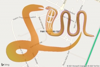 לכידת נחש בכפר הנגיד - לוכד נחשים בכפר הנגיד