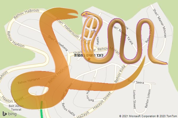 לוכד נחשים בתמרת