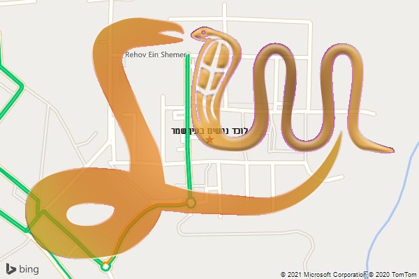 לוכד נחשים בעין שמר