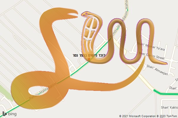 לוכד נחשים בכפר נטר