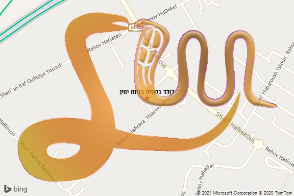 לוכד נחשים בנווה ימין