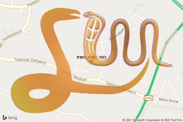 לוכד נחשים בזמרת