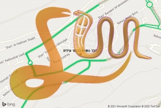 לכידת נחש בביתר עילית - לוכד נחשים בביתר עילית