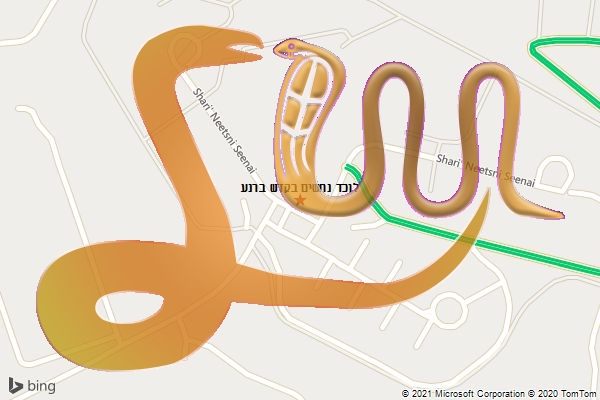 לוכד נחשים בקדש ברנע