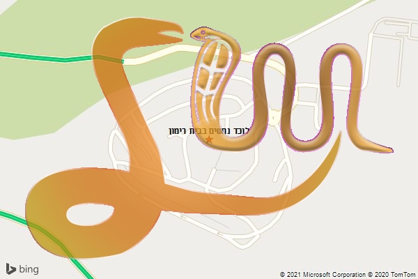 לוכד נחשים בבית רימון