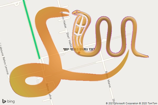 לוכד נחשים בתלמי יוסף