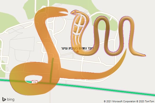 לוכד נחשים בקיבוץ גניגר