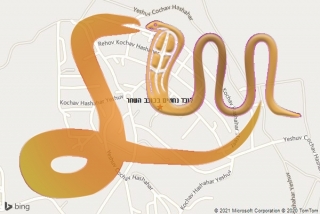 לכידת נחש בכוכב השחר - לוכד נחשים בכוכב השחר