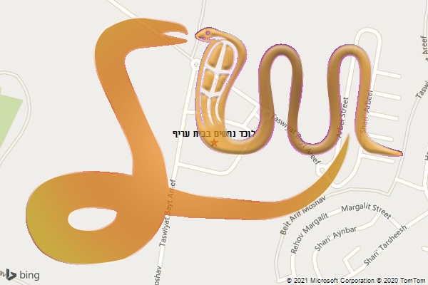 לוכד נחשים בבית עריף